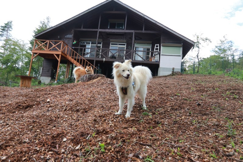 プライベートドッグランつきの山の家（穴澤さん提供）