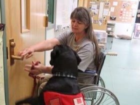 保護犬も受刑者も癒やされ役立つ　刑務所で介助犬を訓練