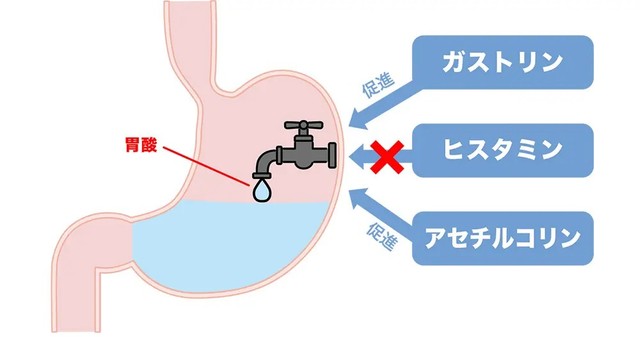 H2ブロッカーの作用　※イメージ図（提供画像）