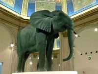 ゾウの銅像の写真