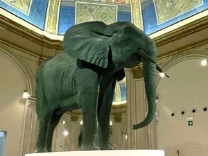 白人中心の歴史を問い直すヨーロッパの展覧会　女性・黒人・植民地の視点より強く