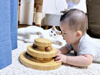 弟を見守るおかかちゃん（画像提供：こずえさん）