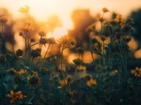 「夢がなくてもいい」と気づいた今、自由に選べることが幸せに