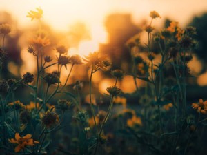 「夢がなくてもいい」と気づいた今、自由に選べることが幸せに