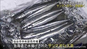 秋の味覚サンマが入荷　不漁予測で高値で取引　仙台市中央卸売市場