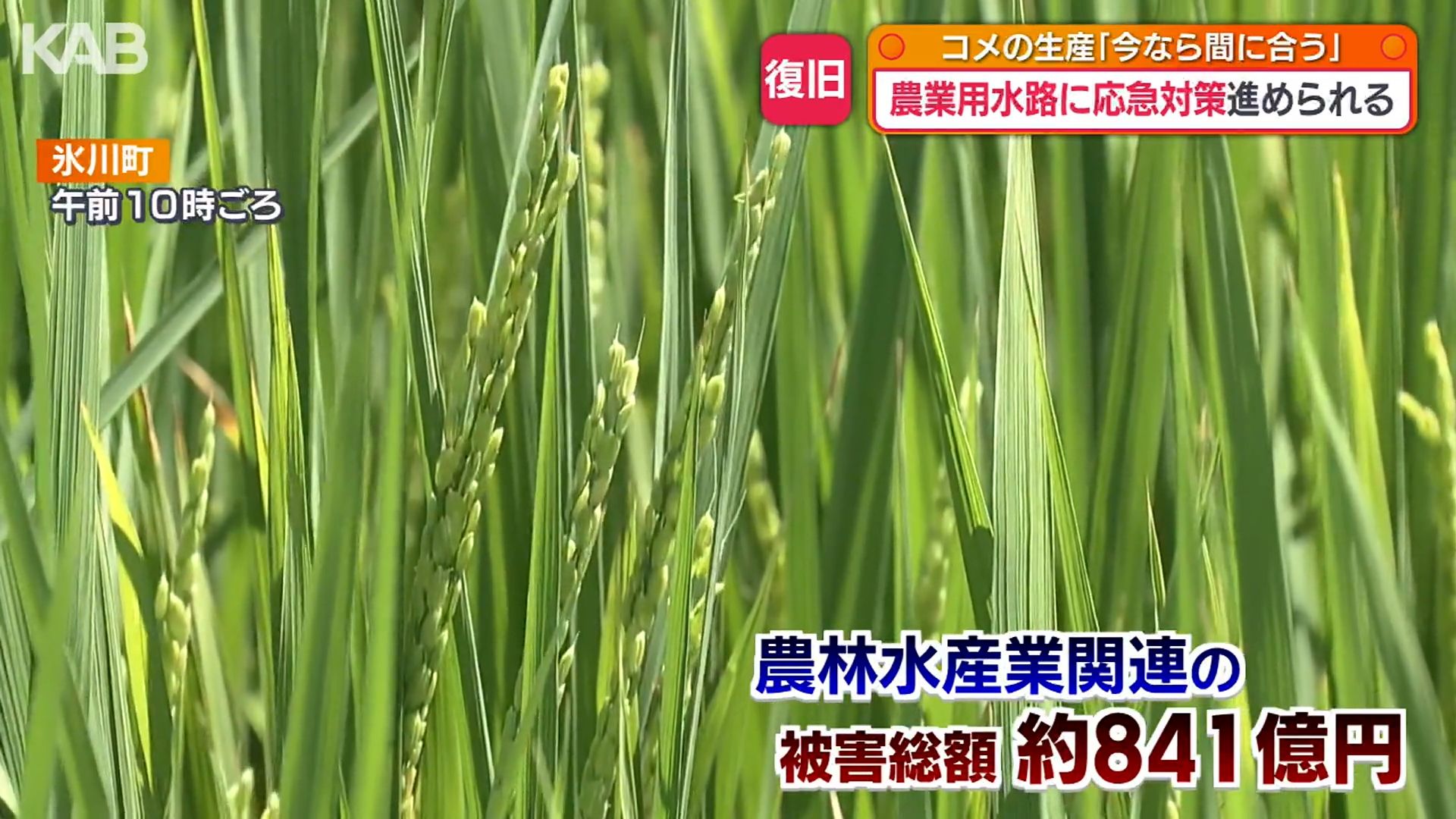 熊本地震から3週間 干からびた田んぼに“命の水”「1分1秒でも早く」農業