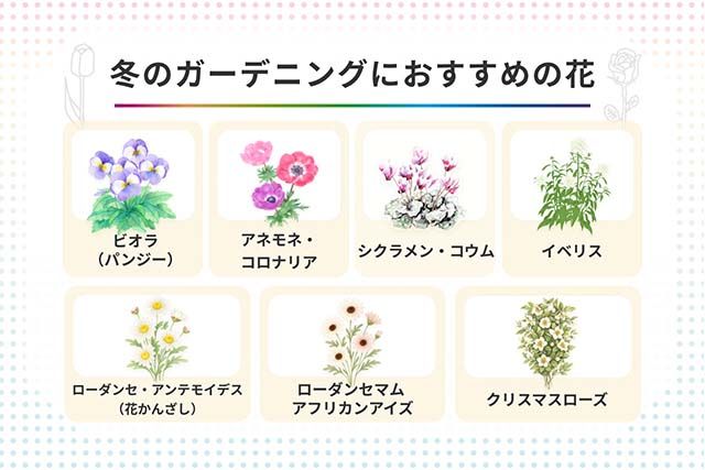 3dc257a1d6217d74d5d9b8ee3d4fc5