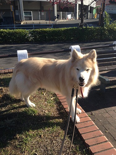 タケのおかげで運動不足を解消