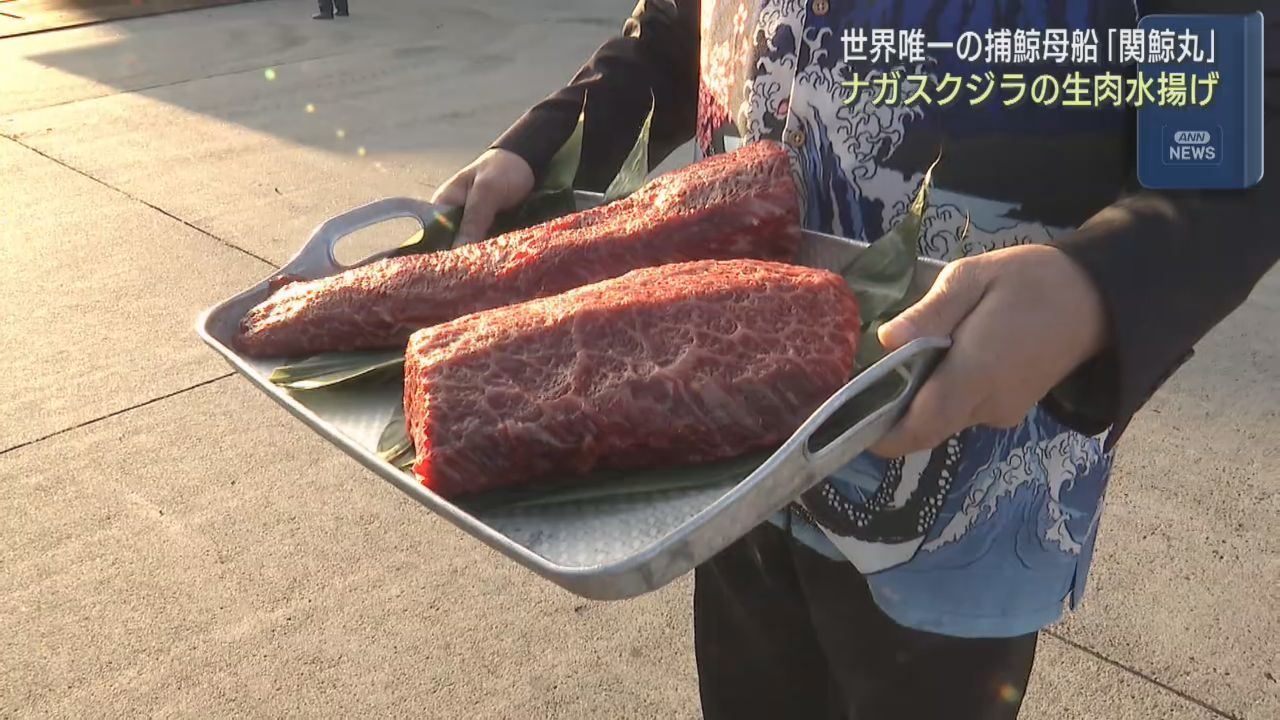 世界唯一の捕鯨母船　関鯨丸が仙台港にナガスクジラの生肉を水揚げ