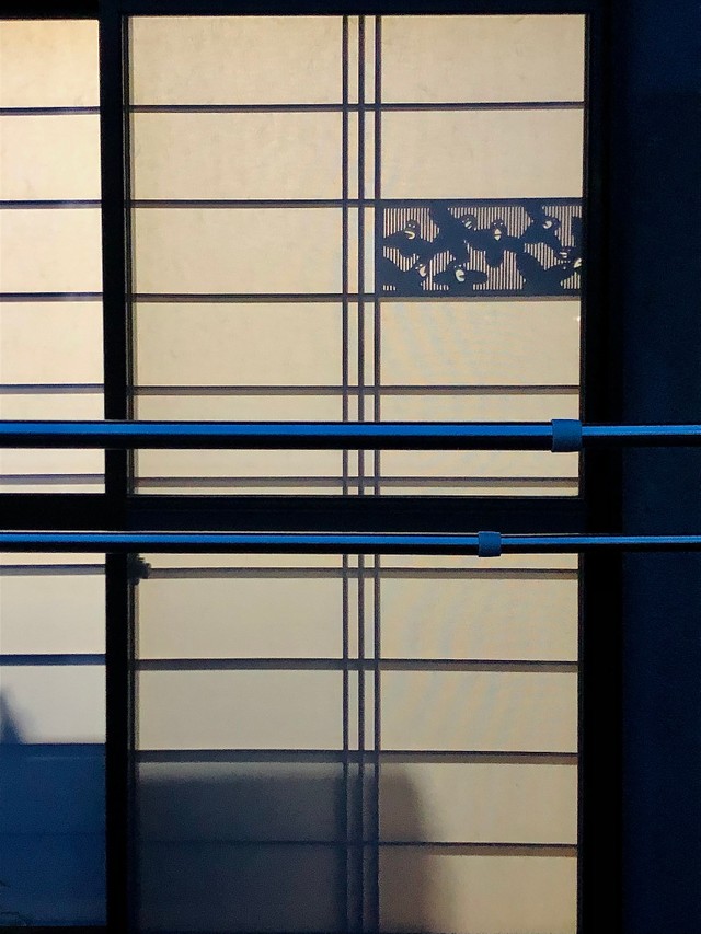 夜になると影がクッキリ。幻想的な雰囲気です（提供：日隈みさきさん）

