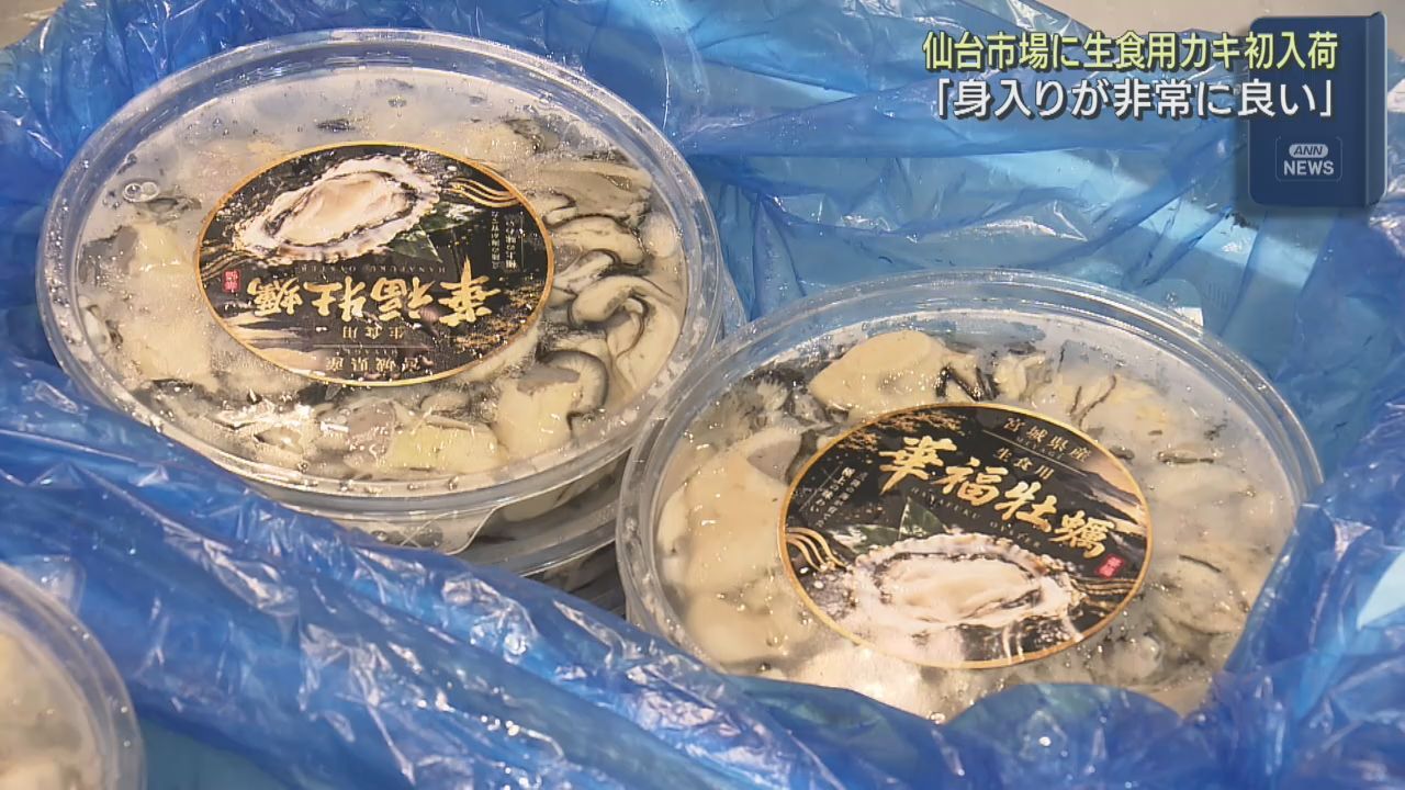 宮城県産生ガキの初競り　例年に比べ高値で取引　仙台市中央卸売市場