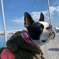 天気のいい日のお散歩、気持ちいいね