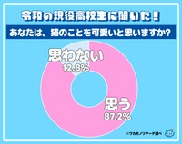「犬と猫」についての調査