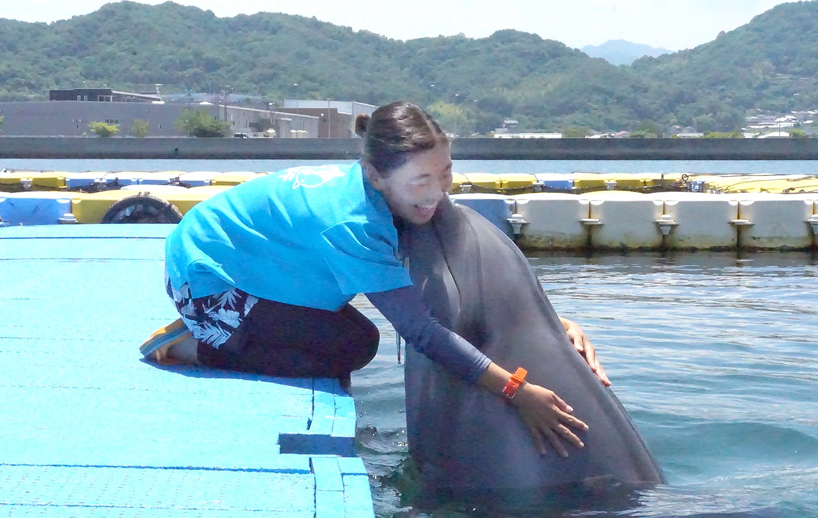 香川でしか見られない イルカと猫の不思議な距離感 それを温かく見守るイルカトレーナーの努力 ほ とせなnews 香川でしか見られない イルカと猫の不思議な距離感 それを温かく見守るイルカトレーナーの努力 ほ とせなnews