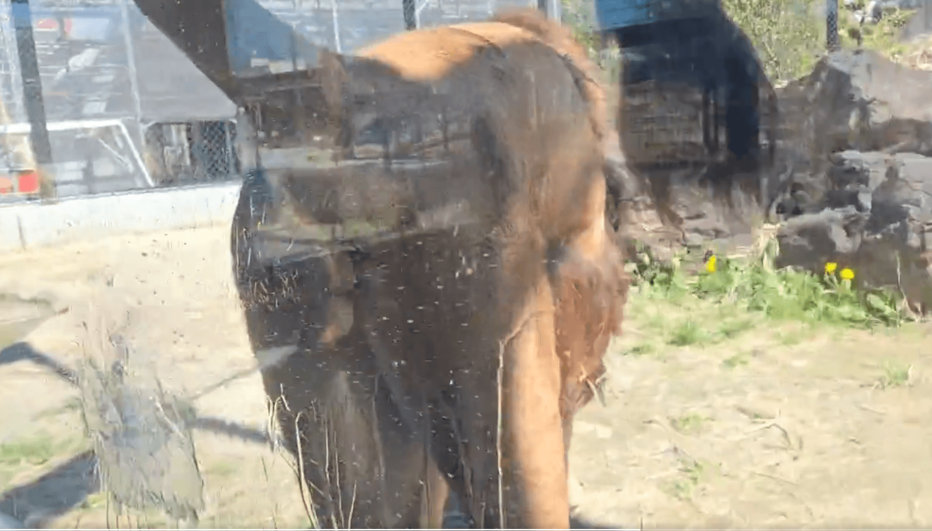 真後ろにおしっこが！