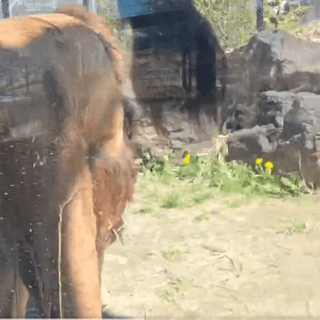 真後ろにおしっこが！