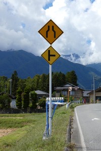 「雄々しいハトの立ち姿」という文言と共に投稿された写真／逢沢雨月さん（@Ohsawa_Ugetsu）提供