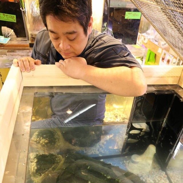 大型水槽を用意して飼育する