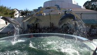 【解説】新屋島水族館　市主体のリニューアル方針が一転、迷走する改修計画