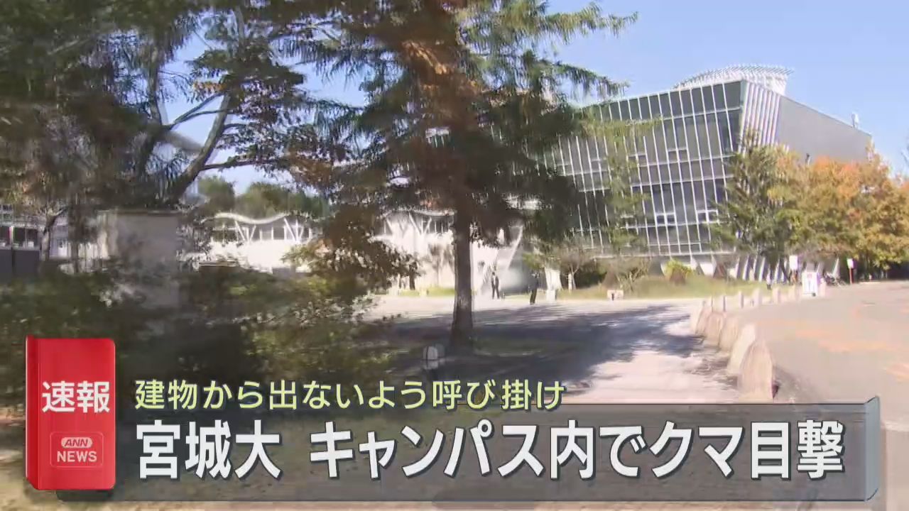 宮城大学大和キャンパスでクマの目撃情報　宮城・大和町