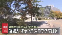 宮城大学大和キャンパスでクマの目撃情報　宮城・大和町