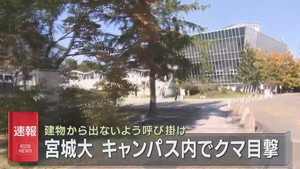 宮城大学大和キャンパスでクマの目撃情報　宮城・大和町