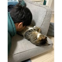 「いつでもやめられる」と思っていました（提供：ねこまるすいさん）