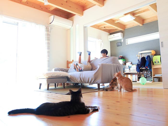 遊んでいるのか？ 遊ばれているのか？ お兄ちゃん、なにしてるの？と次男（5歳）。（テクニック2）