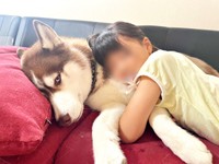 お姉ちゃんにぎゅっと抱かれるモヒートくん（画像提供：mojitohuskyさん）