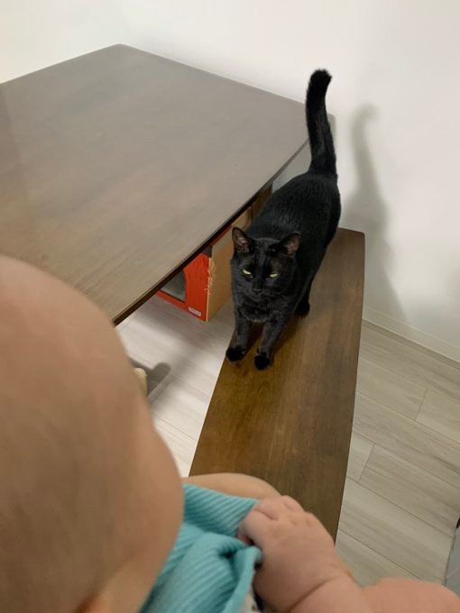 息子さんを抱っこしてたら「僕も〜」ってついてくるやまとくん（YuzzZ (3m)さんのTwitterより）