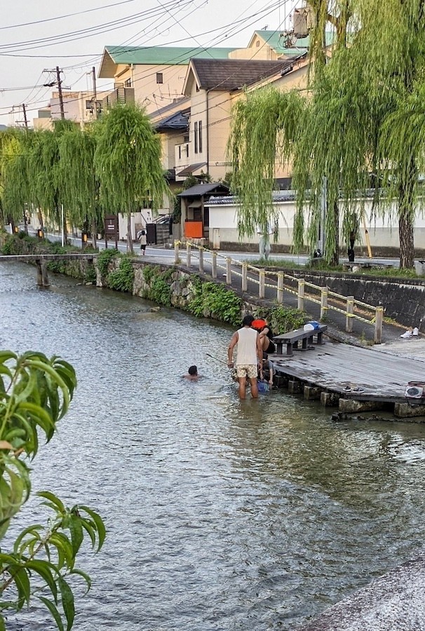 「ガンジス川」状態だった昨夏の「白川」（画像提供：花街ぞめき、正脇良平 Ryohei Masawakiさん）