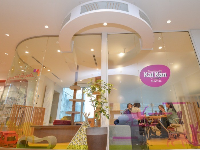 猫はキャットルームから上部の通路をつたって隣室に移動できる