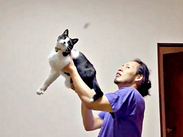 飛んできた虫を目で追うフジくん（画像提供：ろうそくしっぽのフジさん）