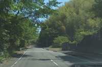 秋田犬が保護された現場に通じる道路。民家などはない