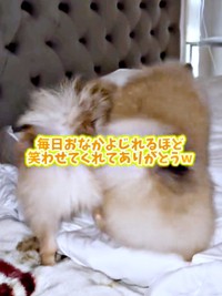 ホリホリの手が止まらないテディくん、ベアくん（画像提供：ベアさん家さん）