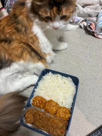 茶色いお弁当の日があってもOK。ゆるく、長く続けたい／寺田紀久子さん（loveloveday_k）提供