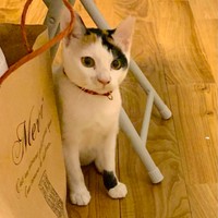 大津湯にやってきたばかりのころ（智也子さん提供）