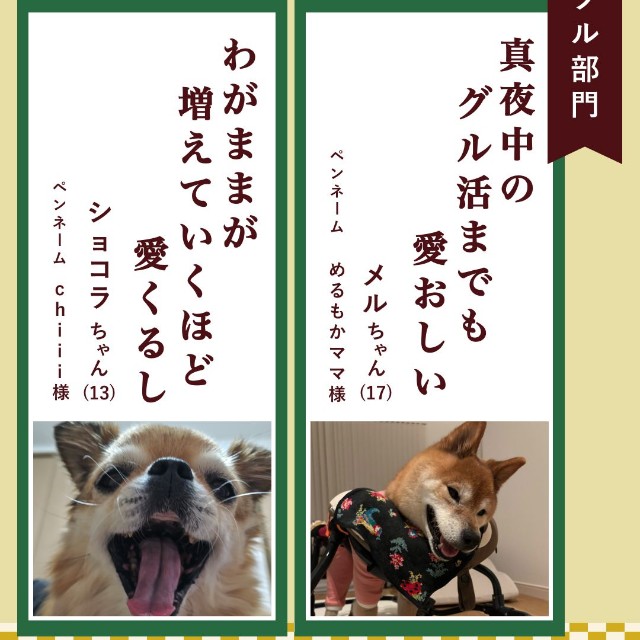 ハートフル部門入選作