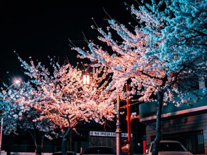 孤独は苦手だけど、ひとりになりたくて。私は仕事場から飛び出した