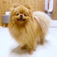 笑顔がキュートなふちちゃん（画像提供：ふちさん）