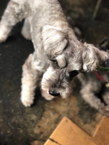 JIROも一緒にカフェへ