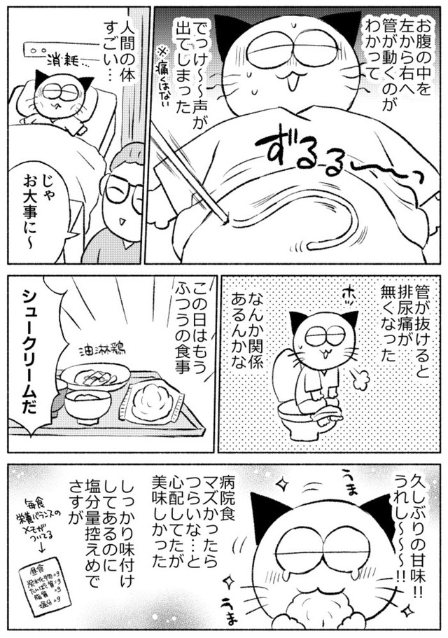 【漫画】『子宮全摘手術レポ』27（春日サブスカさん提供）