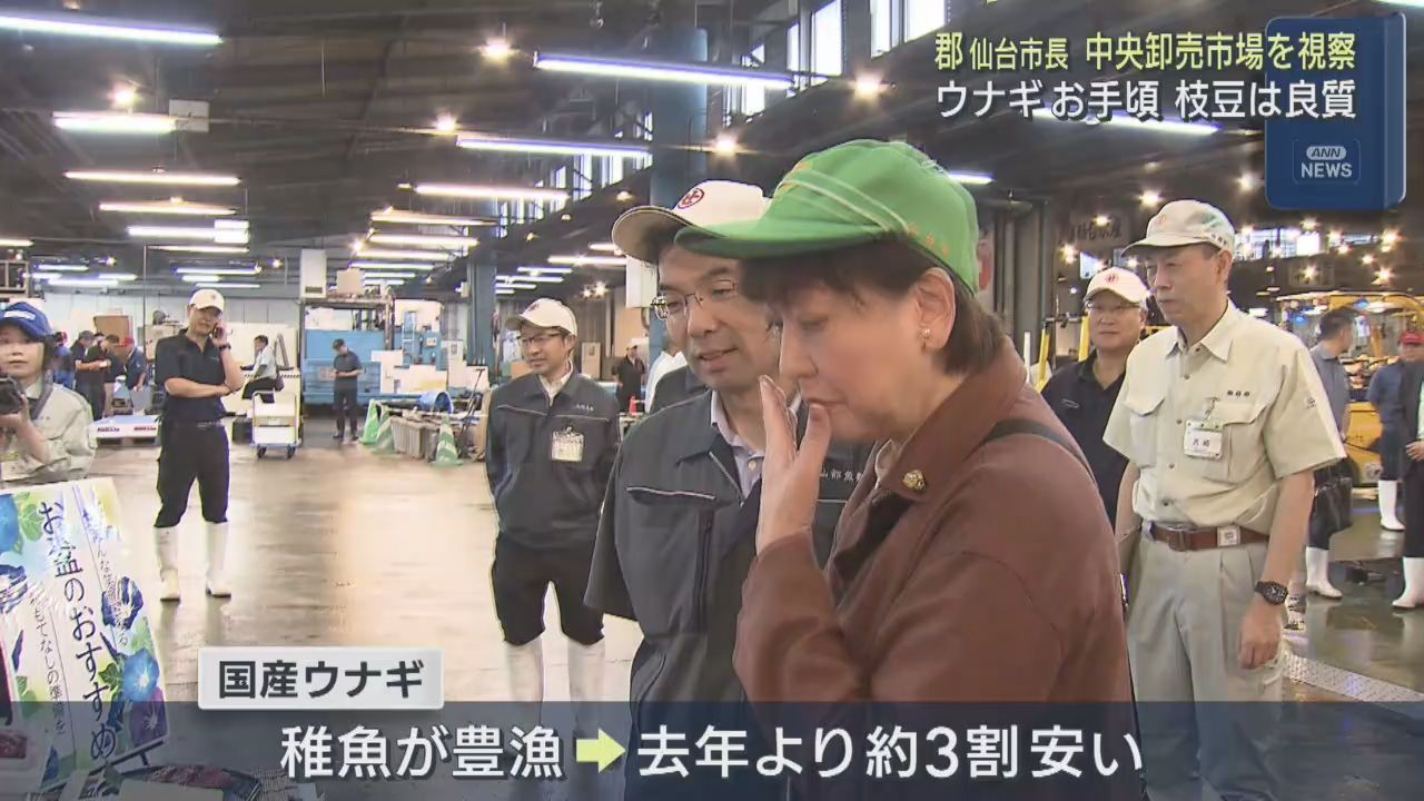郡仙台市長が仙台市中央卸売市場を視察　ウナギが安く野菜果物は入荷減