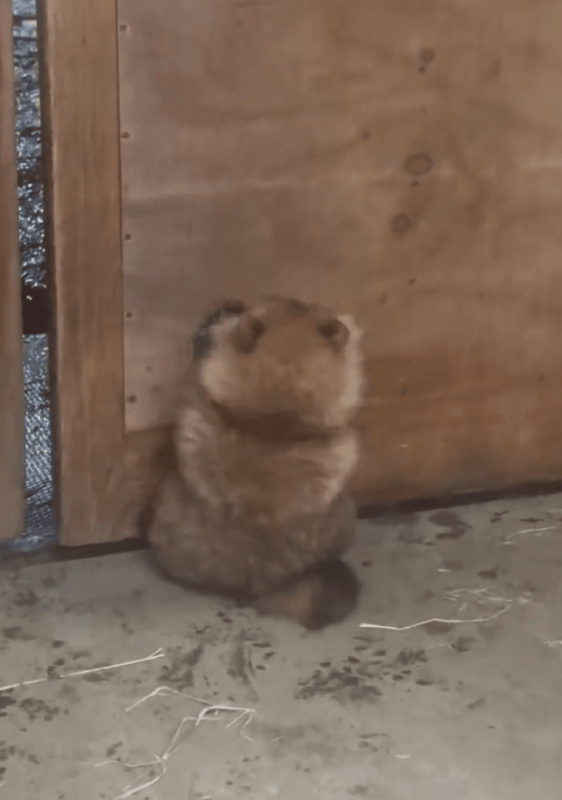 押してダメなら引いてみろ作戦で何とか脱出