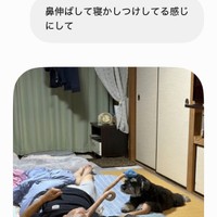 AIに指示した結果ーー。奇想天外な画像が完成（画像提供：本日のセブンさん）