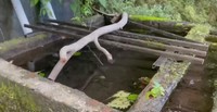 「水基」と呼ばれる山の中の配水所。自然の山水をここに貯めて集落に分配します（写真提供：YouTubeチャンネル「小さな村で暮らす」さん）