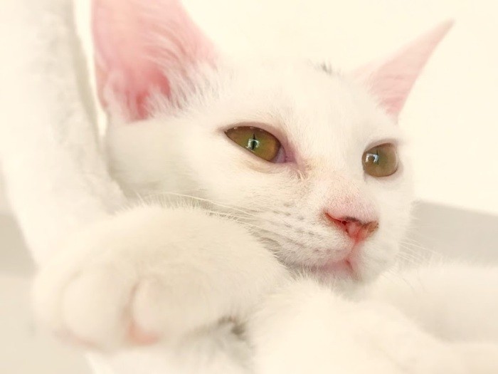 「ええ、いつだってモデルになってあげるわ」（吉田さん撮影）