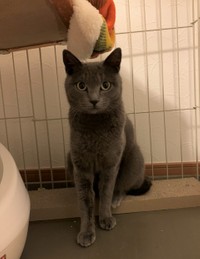 家族募集中です！