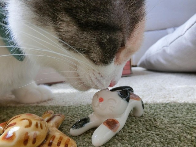 私にそっくりね！