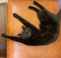 現在のトトちゃんの姿！（おすんしぃさん提供）